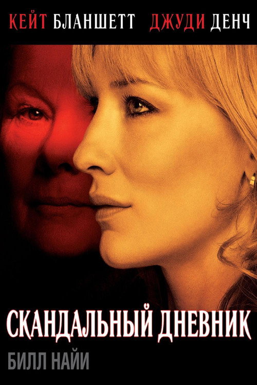 Постер фильма «Скандальный дневник»