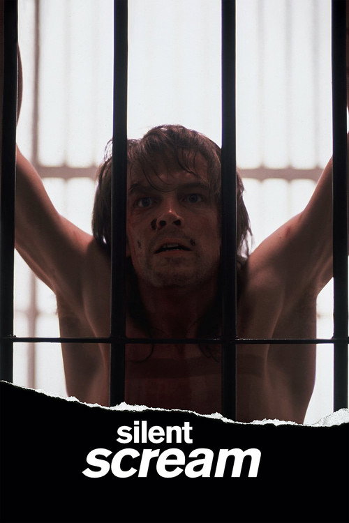 Постер фильма «Silent Scream»
