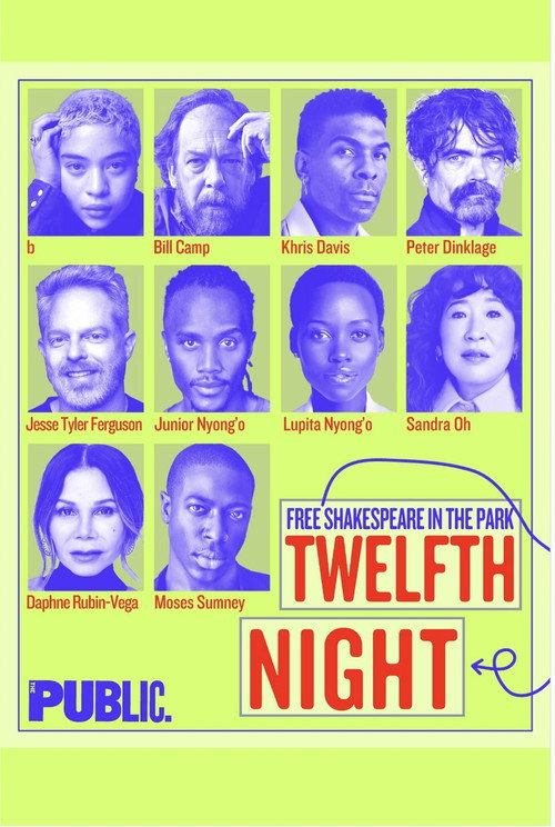 Постер фильма «Twelfth Night»