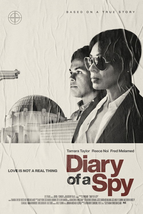 Постер фильма «Diary of a Spy»