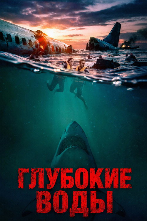 Постер фильма «Крушение рейса»
