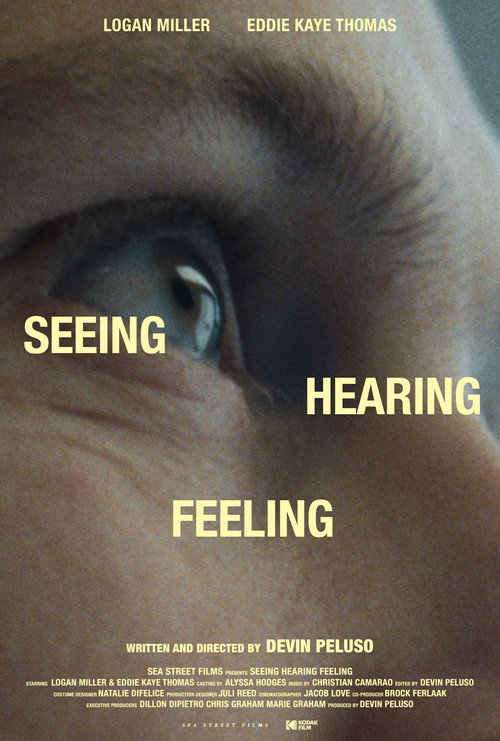 Постер фильма «Seeing Hearing Feeling»