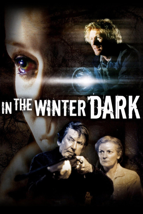 Постер фильма «In the Winter Dark»