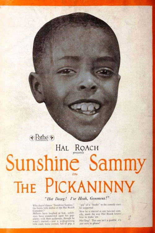 Постер фильма «The Pickaninny»