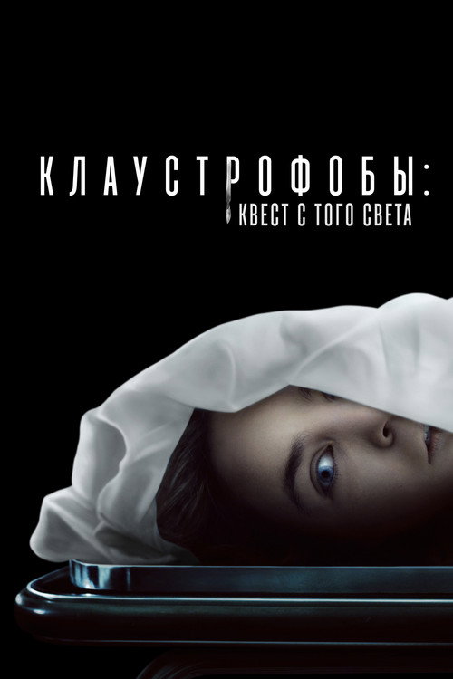 Постер фильма «Клаустрофобы: Квест с того света»