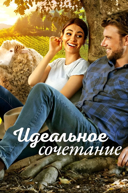 Постер фильма «Идеальное сочетание»
