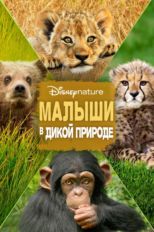 Постер фильма «Малыши в дикой природе»