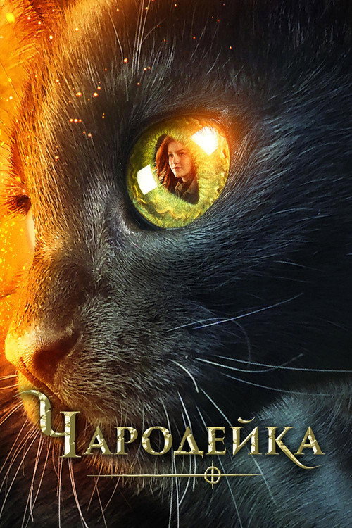 Постер фильма «Чародейка»