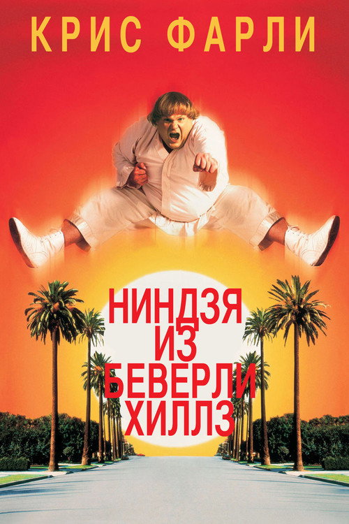 Постер фильма «Ниндзя из Беверли Хиллз»