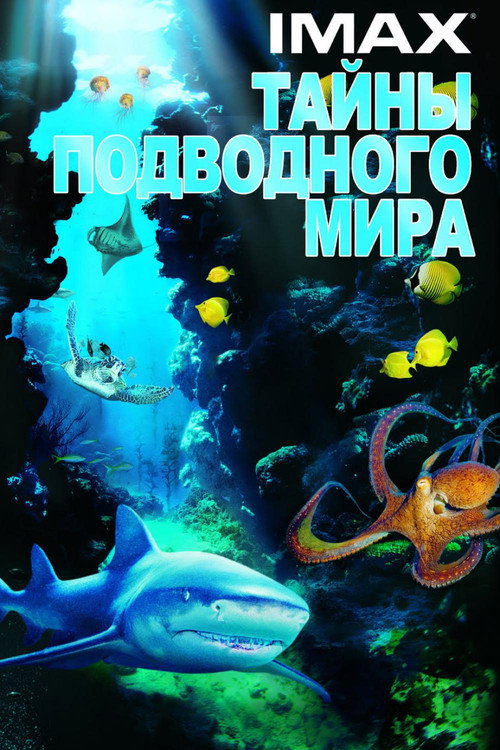 Постер фильма «Тайны подводного мира»