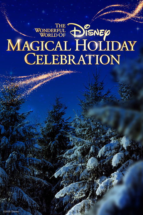 Постер фильма «The Wonderful World of Disney: Magical Holiday Celebration»