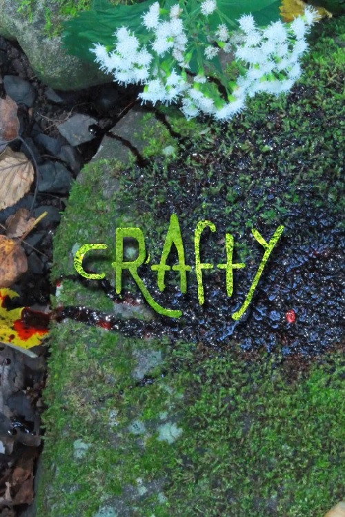 Постер фильма «Crafty»