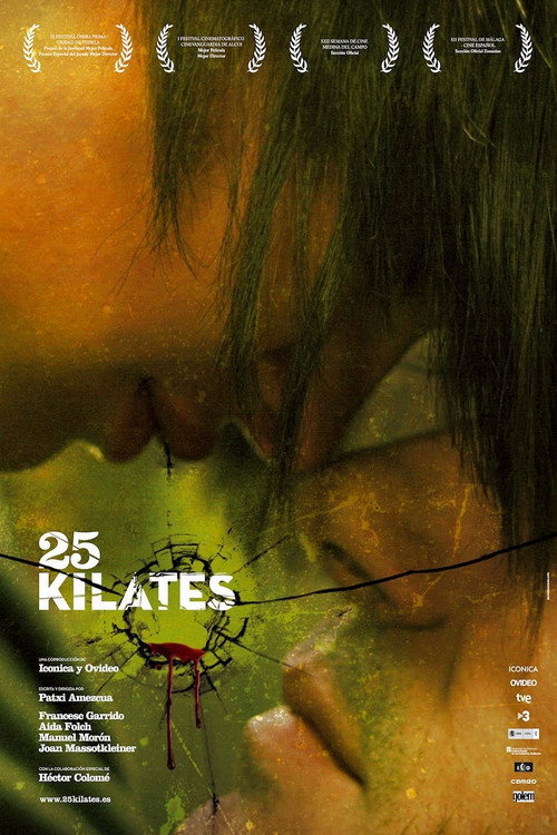 Постер фильма «25 каратов»