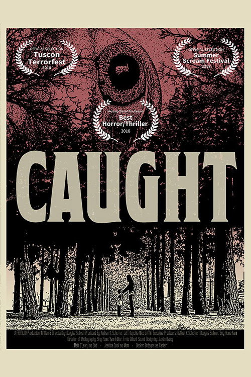 Постер фильма «Caught»