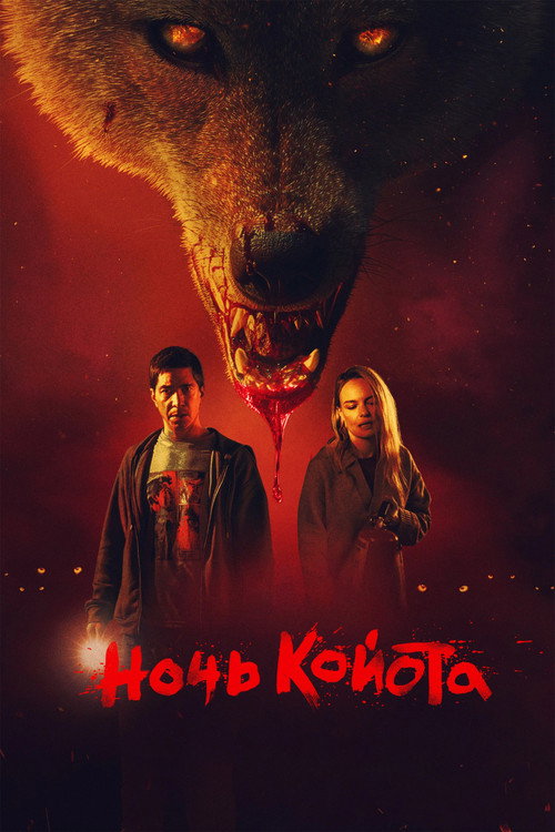 Постер фильма «Ночь койота»