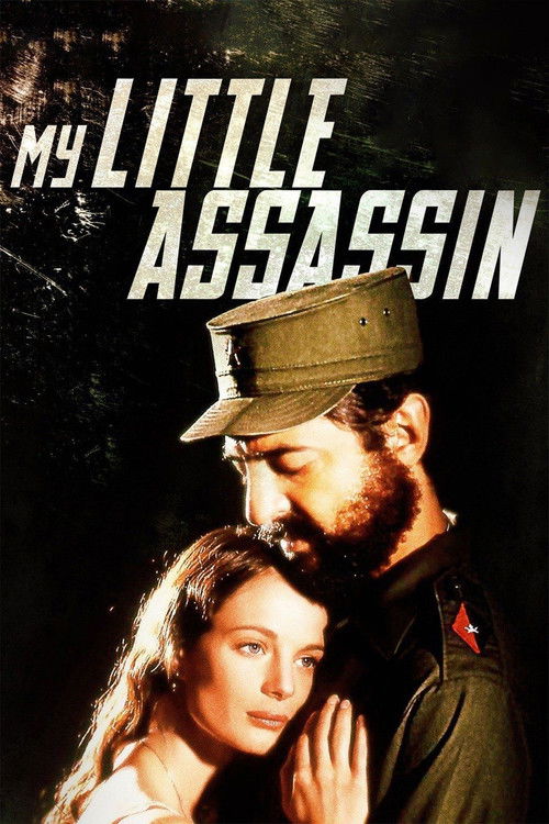 Постер фильма «My Little Assassin»
