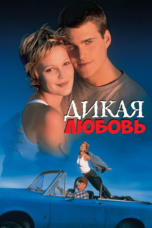 Постер фильма «Дикая любовь»