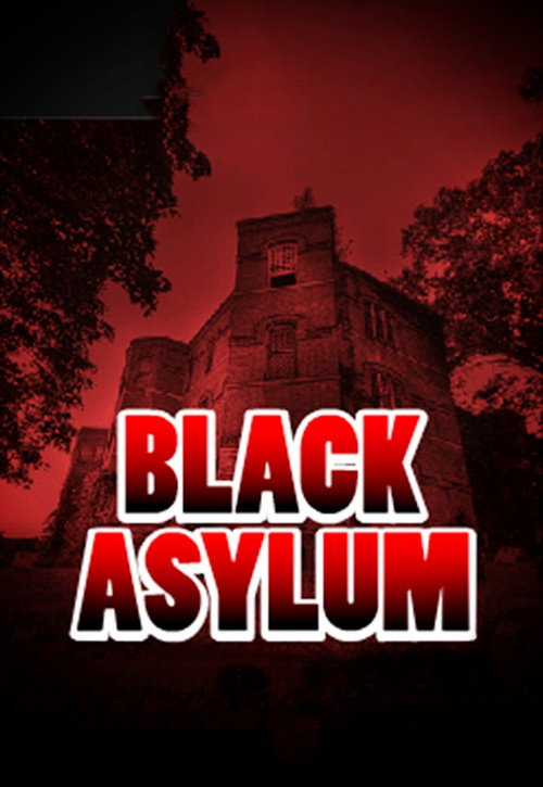 Постер фильма «Black Asylum»