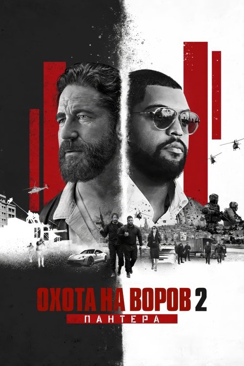 Постер фильма «Охота на воров 2: Пантера»