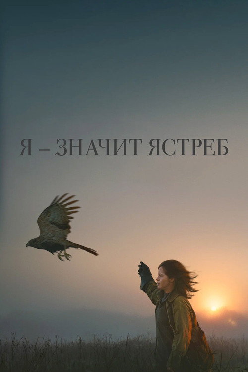 Постер фильма «Я — значит Ястреб»