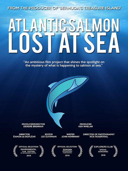 Постер фильма «Atlantic Salmon: Lost at Sea»