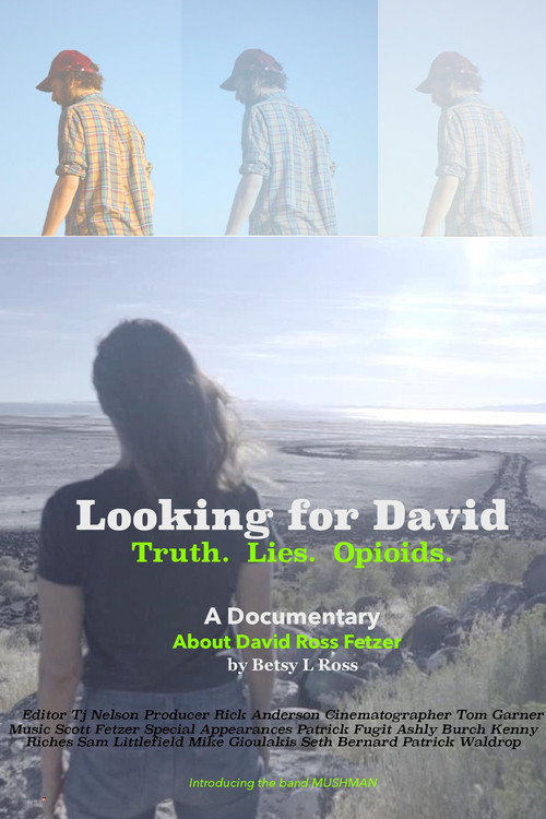 Постер фильма «Looking for David»