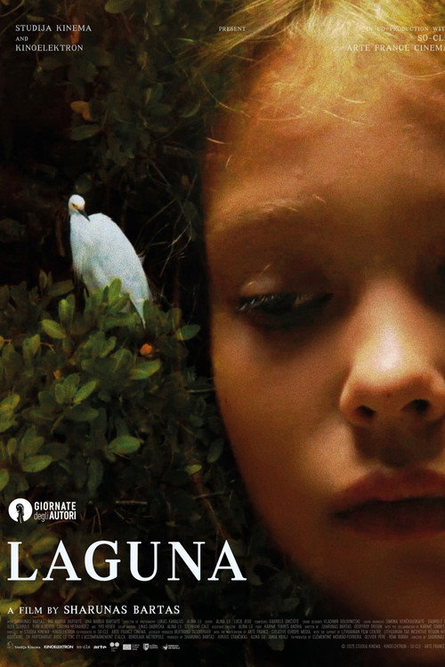 Постер фильма «Laguna»