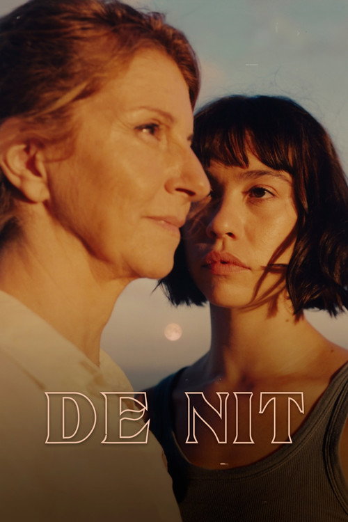 Постер фильма «De nit»