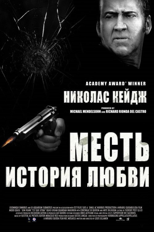 Постер фильма «Месть: История любви»