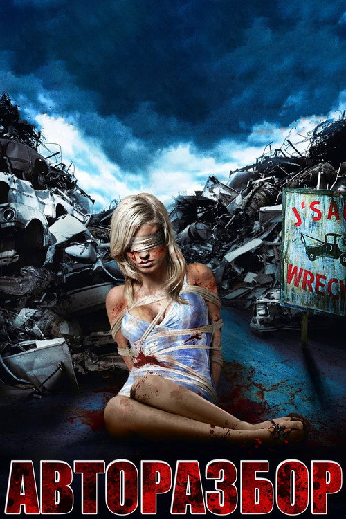 Постер фильма «Wreckage»