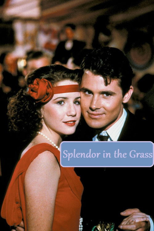 Постер фильма «Splendor in the Grass»