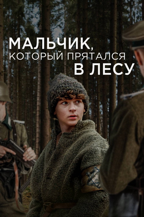 Постер фильма «Мальчик, который прятался в лесу»