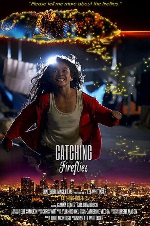 Постер фильма «Catching Fireflies»