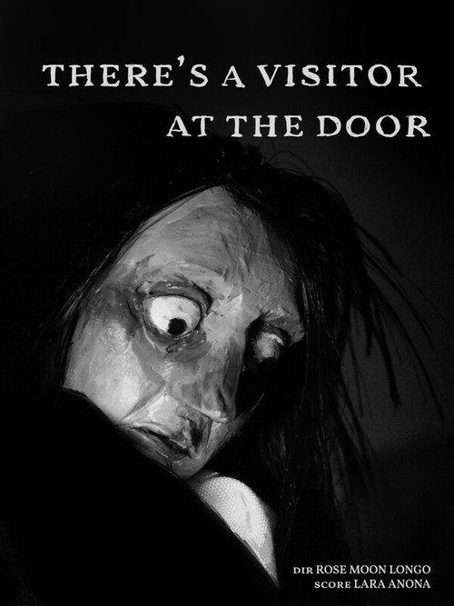 Постер фильма «There's a Visitor at the Door»