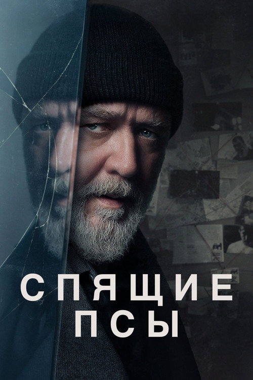 Постер фильма «Спящие псы»