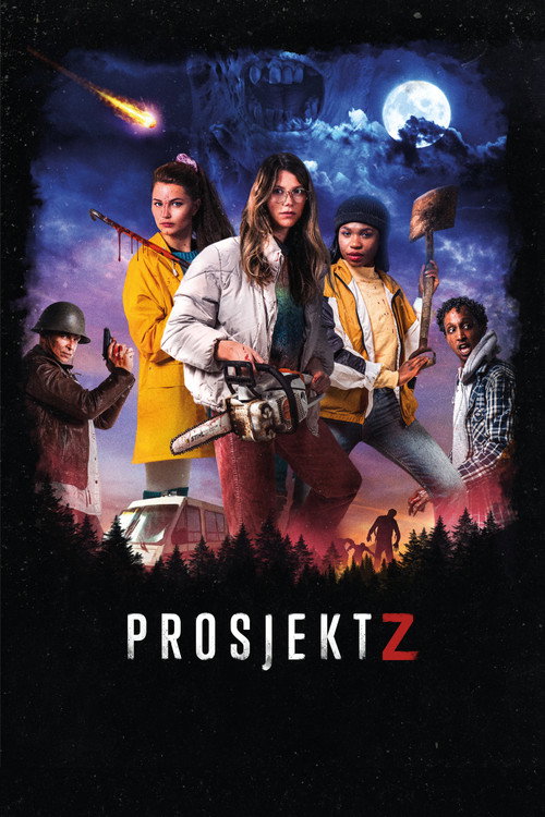 Постер фильма «Prosjekt Z»