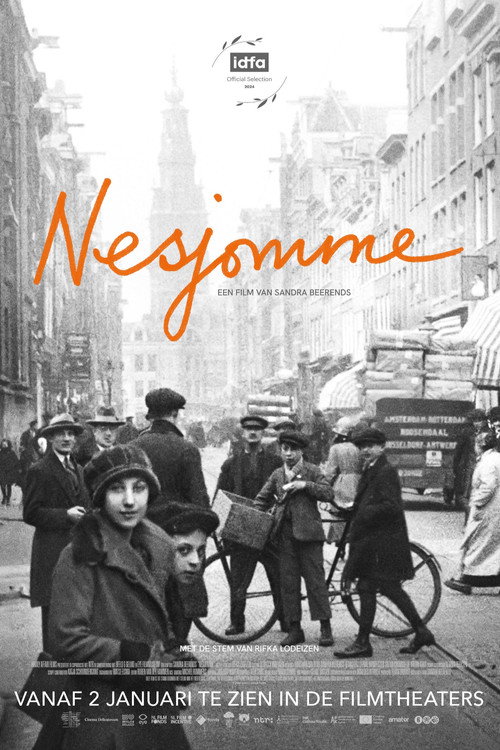 Постер фильма «Nesjomme»