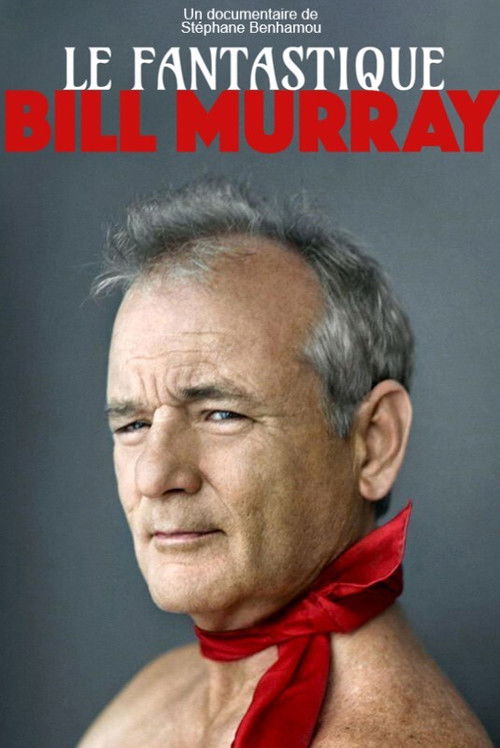 Постер фильма «Le Fantastique Mr Murray»