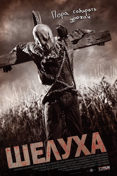 Постер фильма «Шелуха»