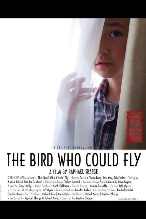 Постер фильма «The Bird Who Could Fly»