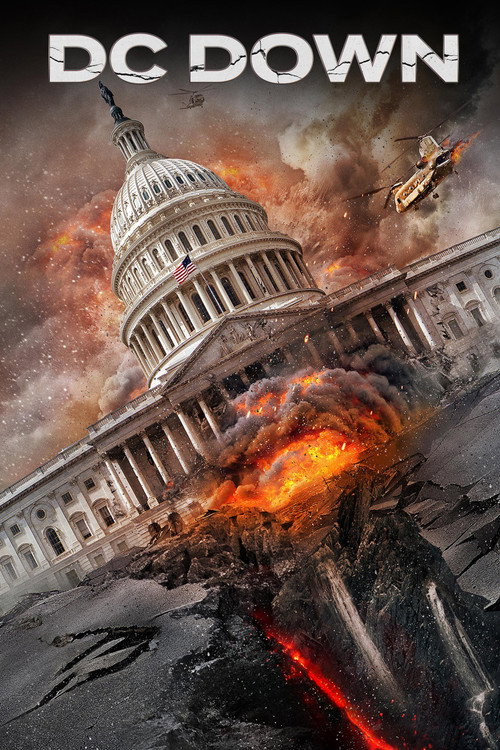 Постер фильма «DC Down»