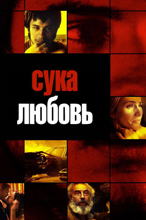 Постер фильма «Сука-любовь»