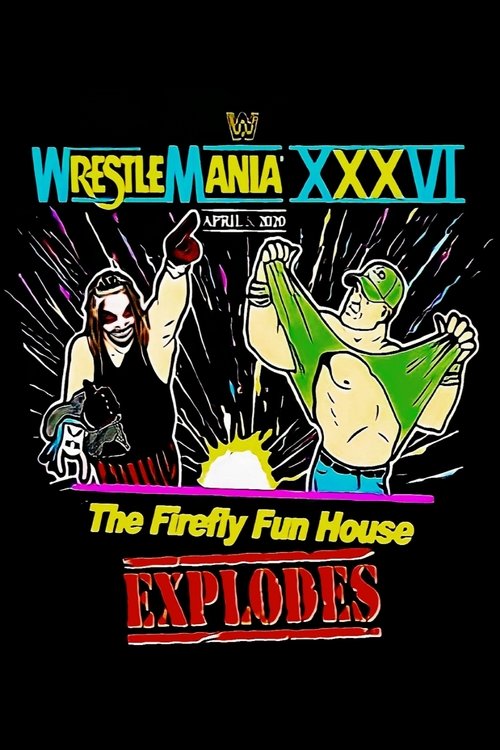 Постер фильма «The Firefly Funhouse Match»