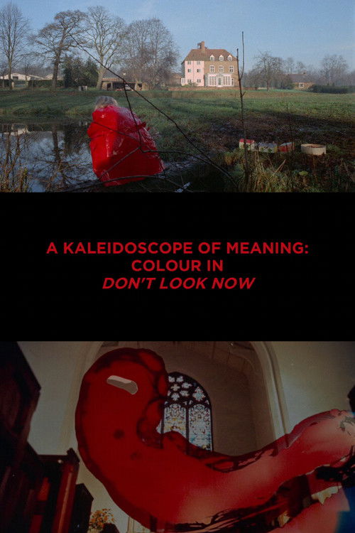Постер фильма «A Kaleidoscope of Meaning: Colour in Don't Look Now»