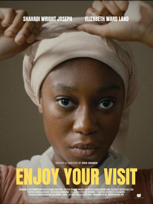 Постер фильма «Enjoy Your Visit»