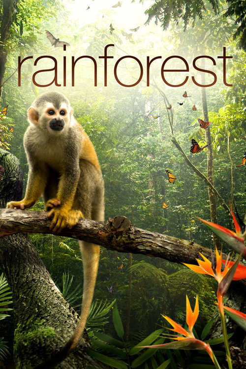Постер фильма «Secret Life of the Rainforest»