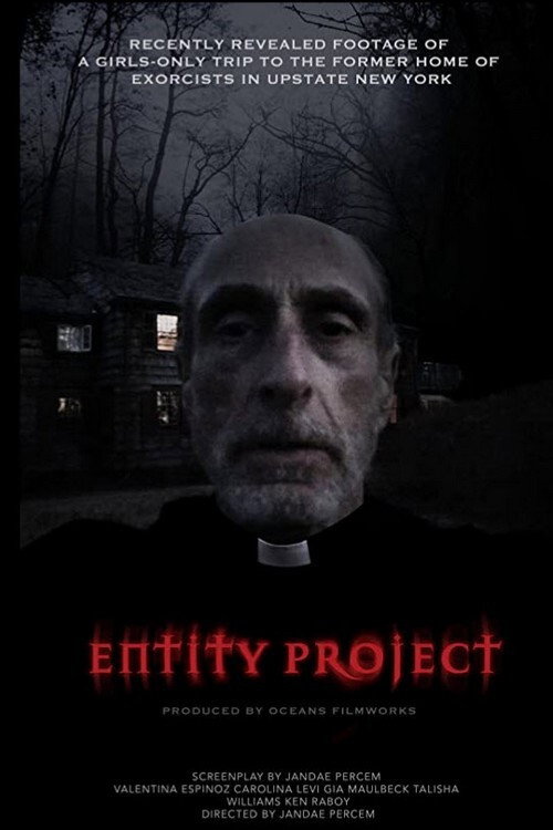 Постер фильма «Entity Project»