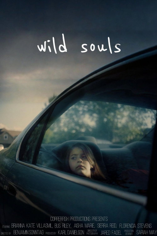 Постер фильма «Wild Souls»