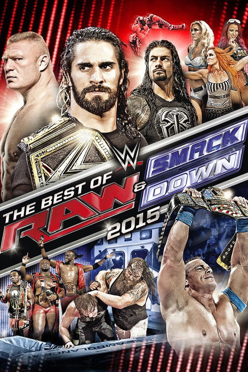 Постер фильма «WWE The Best of Raw & SmackDown 2015»