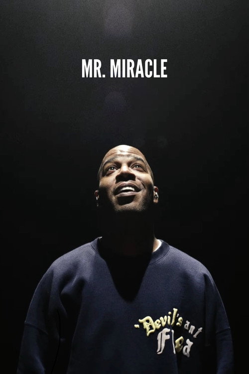 Постер фильма «Mr. Miracle»